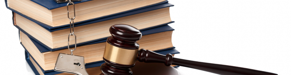 Perito Judicial en Armamento y Tiro + Titulacion Universitaria en Elaboracion de Informes Periciales (Doble Titulacion con 4 Creditos ECTS)