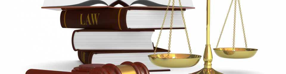Perito Judicial Experto en Calidad Alimentaria ISO 22000 + Titulacion Universitaria en Elaboracion de Informes Periciales (Doble Titulacion con 4 Creditos ECTS)