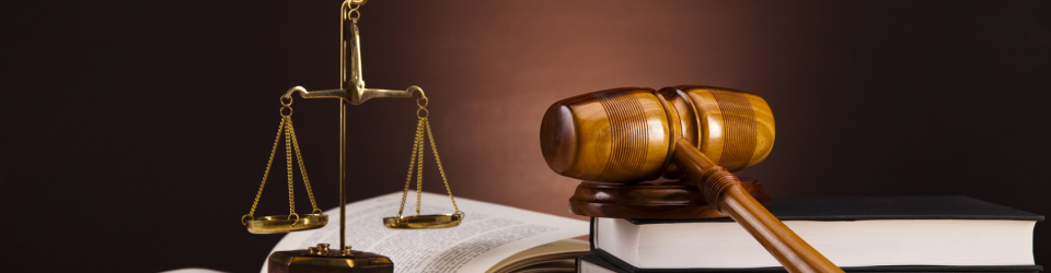 Perito Judicial en Contravigilancia, Alarmas y Emergencias + Titulacion Universitaria en Elaboracion de Informes Periciales (Doble Titulacion con 4 Creditos ECTS)