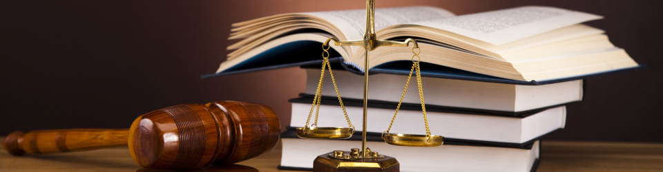 Perito Judicial en Ejecucion de Obras de Construccion + Titulacion Universitaria en Elaboracion de Informes Periciales (Doble Titulacion con 4 Creditos ECTS)