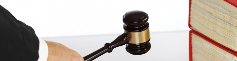Perito Judicial Especialista en Atestados + Titulacion Universitaria en Elaboracion de Informes Periciales (Doble Titulacion con 4 Creditos ECTS)
