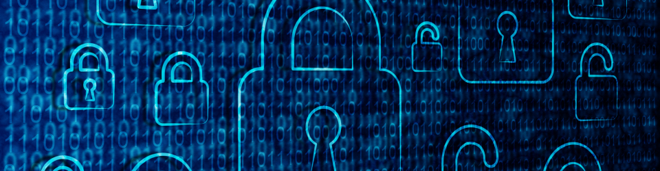 Perito Judicial en Hacking Etico + Titulacion Universitaria en Elaboracion de Informes Periciales (Doble Titulacion con 4 Creditos ECTS)