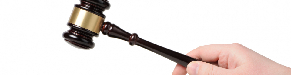 Perito Judicial para Pruebas de Aptitud Fisica + Titulacion Universitaria en Elaboracion de Informes Periciales (Doble Titulacion con 4 Creditos ECTS)