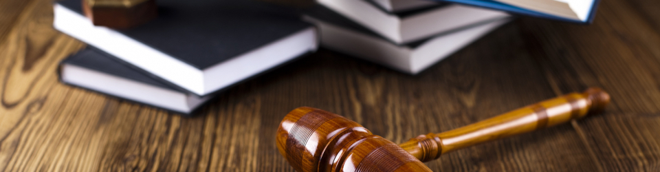 Perito Judicial en Pruebas Diagnosticas: Traumatologia y Ortopedia + Titulacion Universitaria en Elaboracion de Informes Periciales (Doble Titulacion con 4 Creditos ECTS)