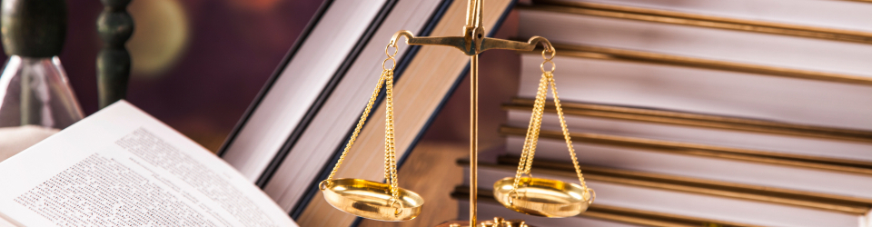 Perito Judicial en Reflexologia Podal + Titulacion Universitaria en Elaboracion de Informes Periciales (Doble Titulacion con 4 Creditos ECTS)