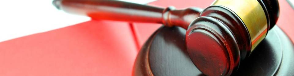 Perito Judicial en Seguridad Privada con Unidad Canina + Titulación Universitaria en Elaboración de Informes Periciales (Doble Titulación con 4 Créditos ECTS)