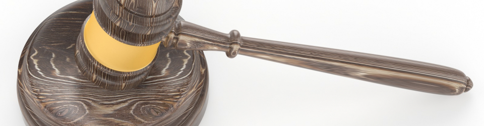 Perito Judicial en Analisis Pericial de la Seguridad en la Transferencia de Datos en Redes Corporativas: Internet, Intranet y Correo Electronico + Titulacion Universitaria en Elaboracion de Informes Periciales (Doble Titulacion con 4 Creditos ECTS)