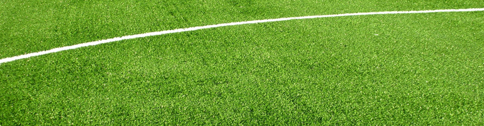 Postgrado en Coach Deportivo para el Futbol + Titulacion Universitaria