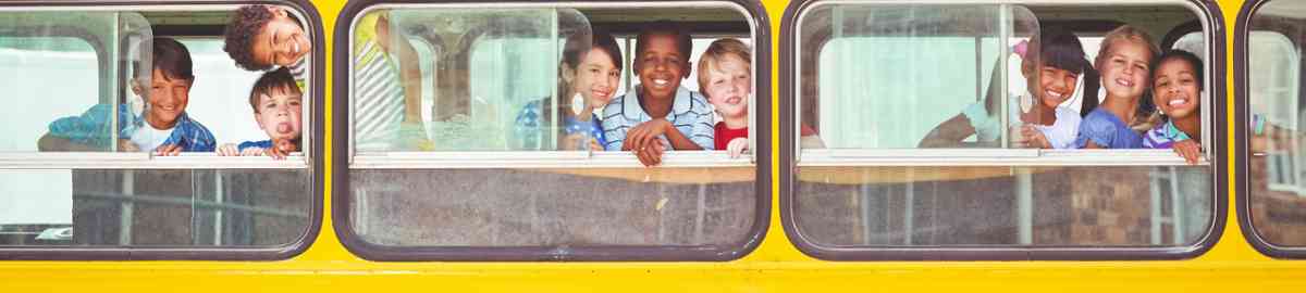 Postgrado de Monitor de Transporte Escolar (Con Titulacion Universitaria + 4 Creditos ECTS)