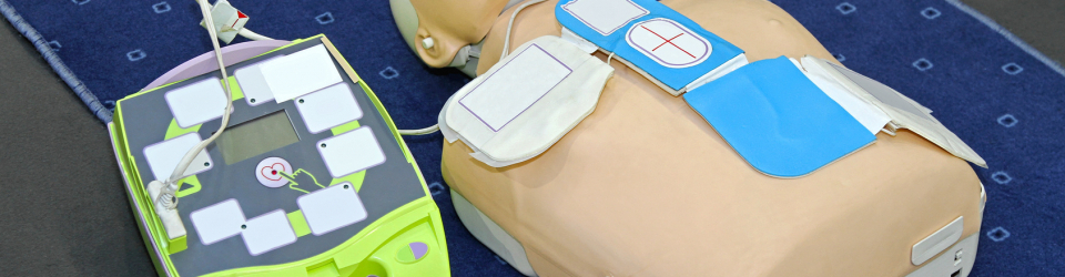 Experto en Reanimacion Cardiopulmonar (RCP), Soporte Vital Basico (SVB) y Uso del Desfibrilador Automatico (DEA) (Doble Titulacion con 4 Creditos ECTS)