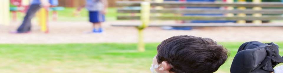 Curso Promocion e Intervencion Socioeducativa con Personas con Discapacidad (Dirigida a la obtencion del Certificado de profesionalidad a traves de la acreditacion de las Competencias Profesionales R.D. 1224/2009) (A Distancia)