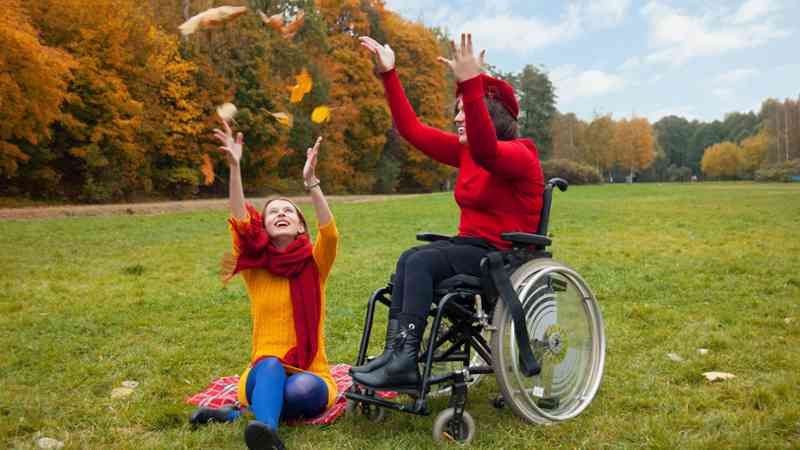 Curso a distancia Ssce0111 Promocion E Intervencion Socioeducativa Con Personas Con Discapacidad A Distancia