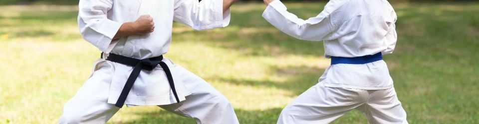 Monitor de Tecnicas de Combate: Taiji, Xingyi y Bagua + Salud Deportiva (Doble Titulacion con 4 Creditos ECTS)