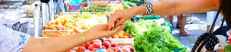 Especialista en Tecnicas de Venta en Fruteria + Titulacion Universitaria (Doble Titulacion + 20 Creditos tradicionales LRU)