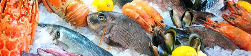 Especialista en Tecnicas de Venta en Pescaderia + Titulacion Universitaria (Doble Titulacion + 20 Creditos tradicionales LRU)