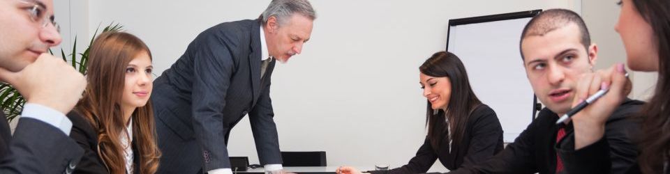 Tecnico Ejecutivo en Control de Gestion: Estrategia e Innovacion