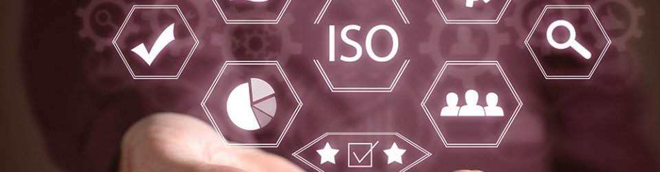 Postgrado en Gestion y Auditoria de la Calidad (ISO 9001:2015 - ISO 19011)