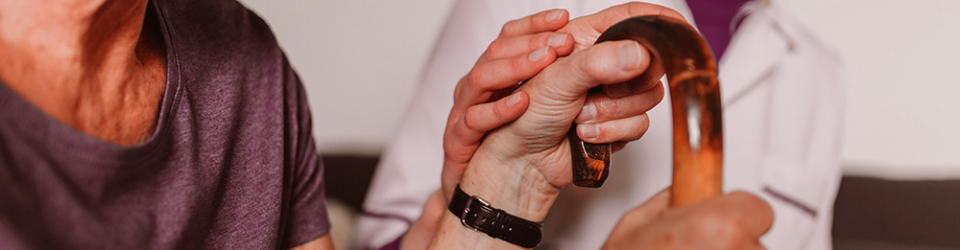 Especialista en Programas de Intervencion y Prevencion en Salud y Riesgos en la Tercera Edad