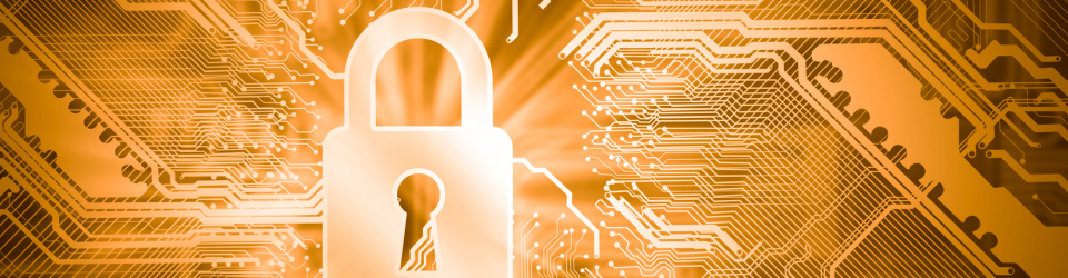 tecnico en seguridad informatica