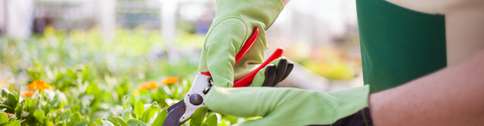 Curso Online El Suelo de Cultivo y las Condiciones Climaticas
