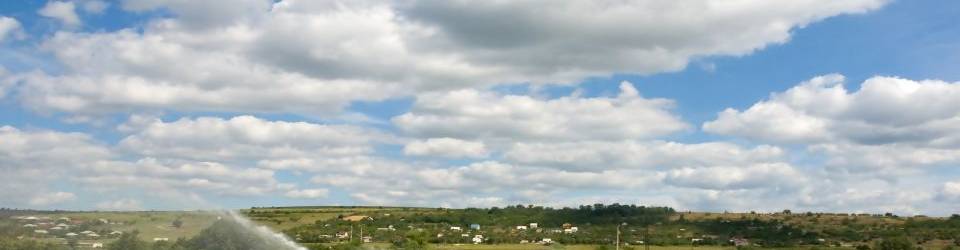 Instalaciones, su Acondicionamiento, Limpieza y Desinfección (A Distancia)