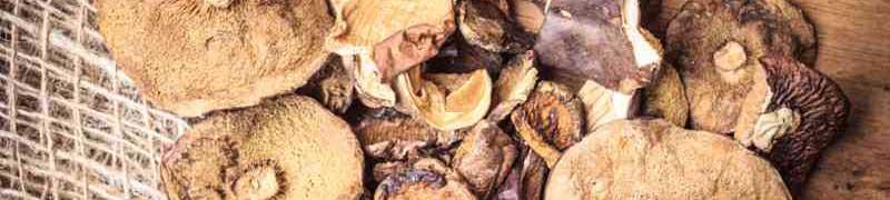 Curso Preelaboracion y Conservacion de Vegetales y Setas (A Distancia)