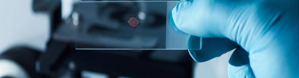 Curso Programas Informaticos para Tratamiento de Datos y Gestion en el Laboratorio (A Distancia)