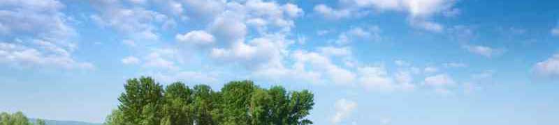 Curso a distancia Uf0204 Control De La Reproduccion A Distancia