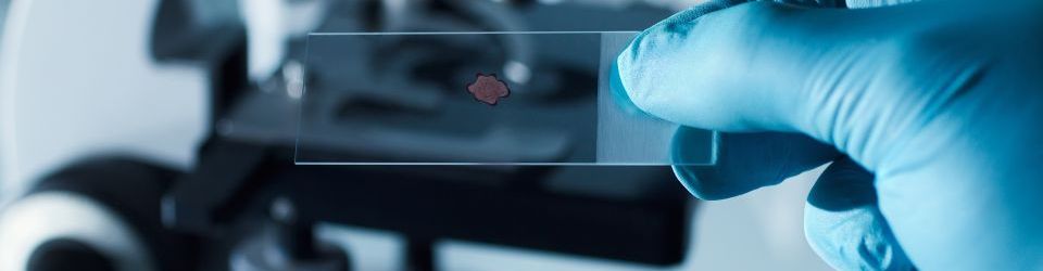 Preparacion de Muestras y Equipos para Ensayos Fisicoquimicos