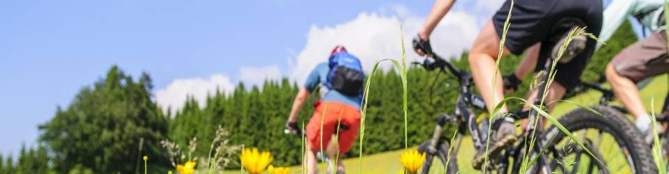 Curso Analisis y Gestion de Itinerarios para Bicicletas (A Distancia)