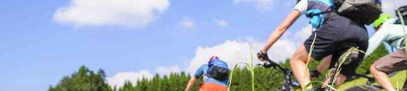 Curso a distancia Uf0297 Desplazamiento Estancia Y Seguridad En El Medio Natural Y Orientacion Sobre El Terreno A Distancia