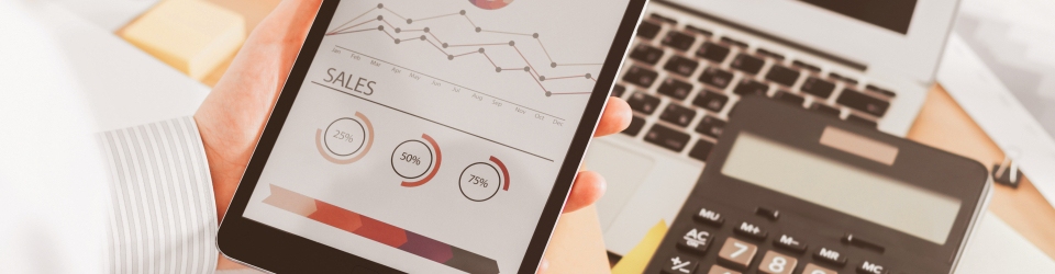 Curso Online Aplicaciones Informaticas de Analisis Contable y Contabilidad Presupuestaria