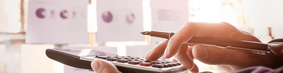 Curso Online Analisis del Sistema Financiero y Procedimientos de Calculo