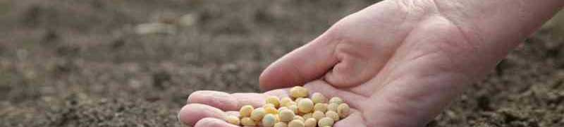 Almacenamiento, Manipulación y Conservación de los Productos Agrícolas (A Distancia)