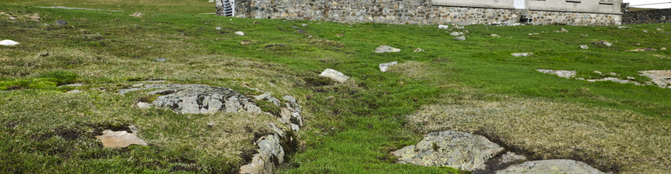 Gestión Gastronómica en Alojamientos Ubicados en Entornos Rurales y/o Naturales