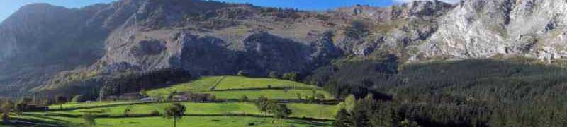 Servicio de Restauración en Alojamientos Rurales Ubicados en Entornos Rurales y/o Naturales