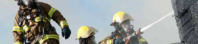 Curso Prevencion de Incendios Forestales (A Distancia)