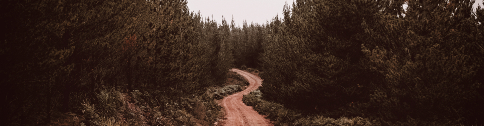 Curso Online Mantenimiento de la Maquinaria, Equipos e Instalaciones Forestales