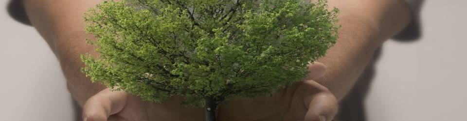 Impacto Ambiental en las Actividades Humanas (A Distancia)