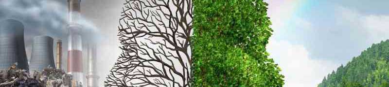Educación Ambiental y Ámbitos de Aplicación