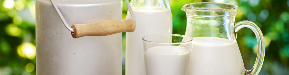 Curso Online Recepcion y Almacenamiento de la Leche y Otras Materias Primas