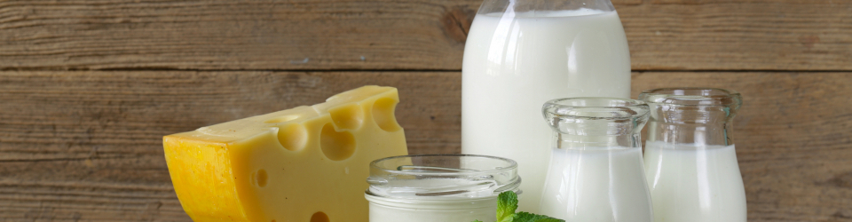 Curso Online Tratamientos Previos de la Leche