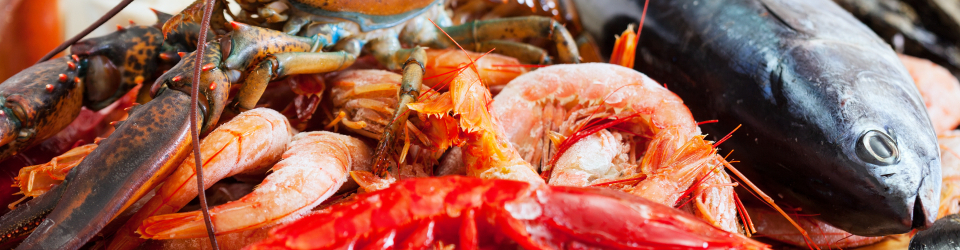 Acondicionado del Pescado y Marisco