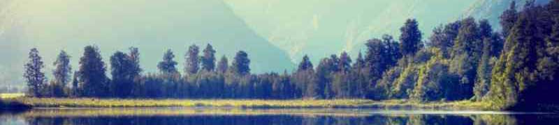 Curso Selvicultura y Control de Plagas Forestales (A Distancia)