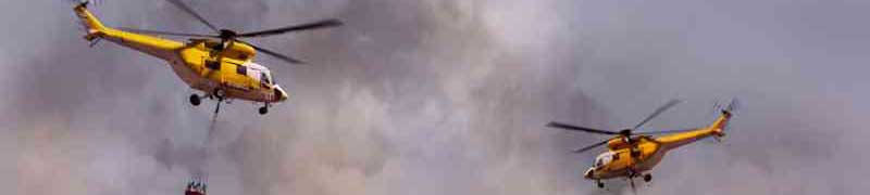 Curso Extincion de Incendios Forestales (A Distancia)