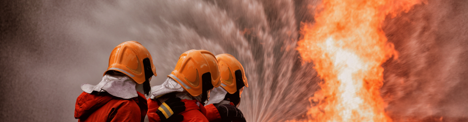 Curso Online Extincion de Incendios Forestales