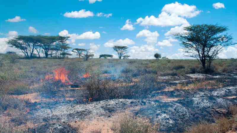 Extinción de Incendios Forestales