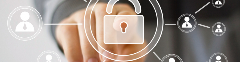 Gestión de la Seguridad en la Red de Área Local