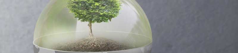 Curso a distancia Uf1505 Caracterizacion Y Control De Plagas En Areas Edificadas Y Ajardinadas A Distancia