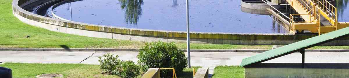 Mantenimiento del Entorno de Plantas de Tratamiento de Agua y Plantas Depuradoras (A Distancia)